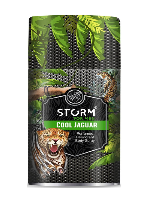 Storm Cool Jaquar Дезодорант-спрей парфюмированный 250мл