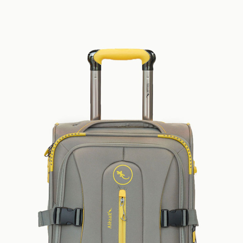 Alezar Dragon Набор чемоданов Серый/Желтый (20